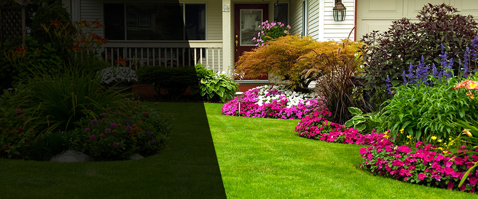Oroville Landscapers